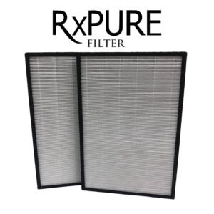 DND RXPURE PENAPIS UDARA 2PCS
