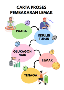 DND-DIET-PAGE-13-CARTA-PROSES-PEMBAKARAN-LEMAK