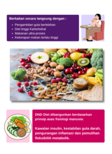 DND-DIET-PAGE-3-APAKAH-ITU-DND-DIET-II