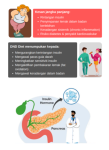 DND-DIET-PAGE-5-ASAS-FISIOLOGI-INSULIN-METABOLISMA-II